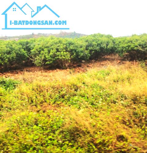 Bán 1650m Đất Kiên Lao, Bắc Ninh , Gía Đầu Tư nhỉnh tỷ 098218815 Đất nền rộng 1