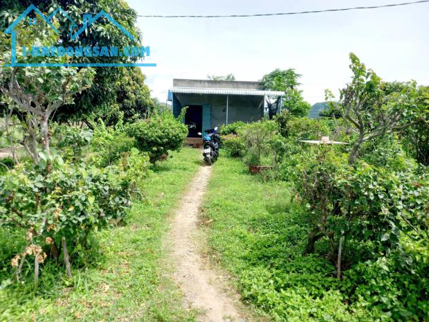 Ngộp Quá Bán Nhanh-Đất Thôn 2-Hàm Liêm-Lâm Đồng-10.300m2+11.400m2