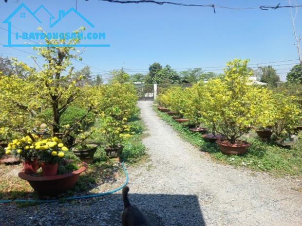 Bán đất mặt tiền An Phú Tây Bình chánh, đường Tân Nhiễu, 4200m2 1 lầu, 20.X tỷ