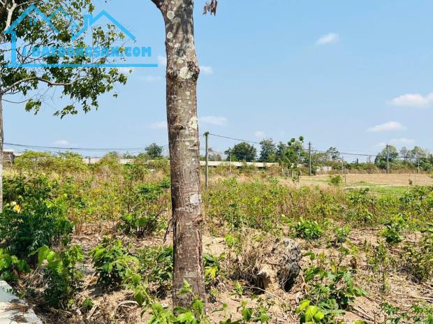 📣Bán #Đất 2lô LKe 10x30 #650triệu ngay khu du lịch Troh Bưh Hẻm Tỉnh Lộ 1 Enuol Buôn Đôn