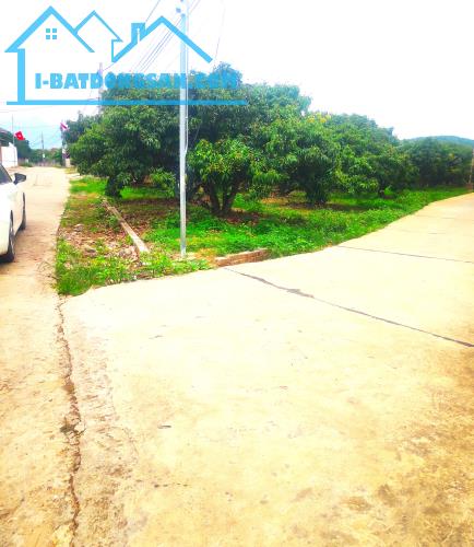 BÁN 2500m ĐẤT PHƯỢNG SƠN CHŨ BẮC GIANG GIÁ ĐẦU TƯ