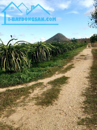 Kẹt tiền bán nhanh-Đất Ba Bàu-Hàm Thạnh Huyện Hàm Thuận Nam-Bình Thuận-DT hơn 4,6Ha