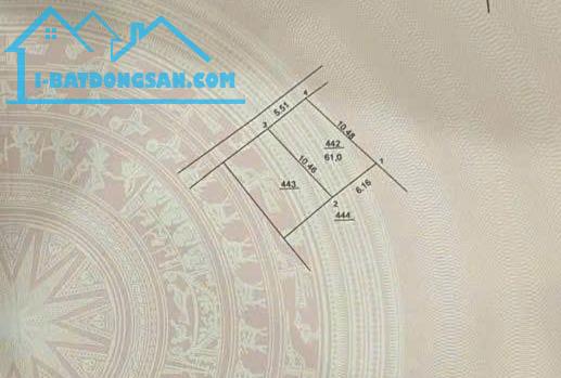 Bán đất Xâm Thị – Hồng Vân – Thường Tín – 61m² – Ô tô đỗ cửa – hơn 2 tỷ