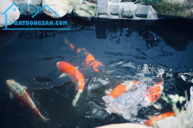 🏠 BÁN NHÀ 3 TẦNG – NGUYỄN KHOA CHIÊM, P. AN TÂY, HUẾ 🏠
