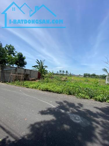 Bán Đất Đẹp 81 m Thị Trấn Gia Khánh , KCN Bình Xuyên, Vĩnh Phúc, Đường To Vật Vã, Giá Rẻ