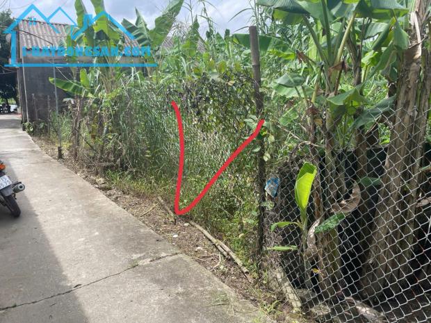 Bán Đất Hồng Vân - Thường Tín, 100m², Gần Vành Đai 4 – giá đầu tư nhỉnh 2 tỷ