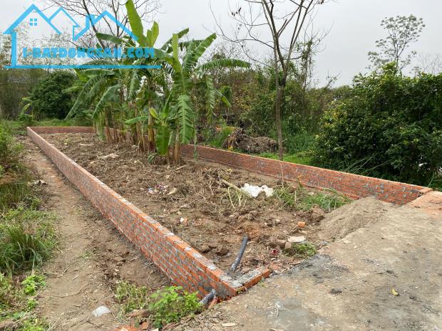 Bán đất làn 2 ql 17 tại xuân lai,gia bình,bắc ninh