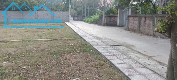 Giá rẻ nhất khu vực! 125m² gần cổng HV Phòng Không, cách QL 416 chỉ 50m!