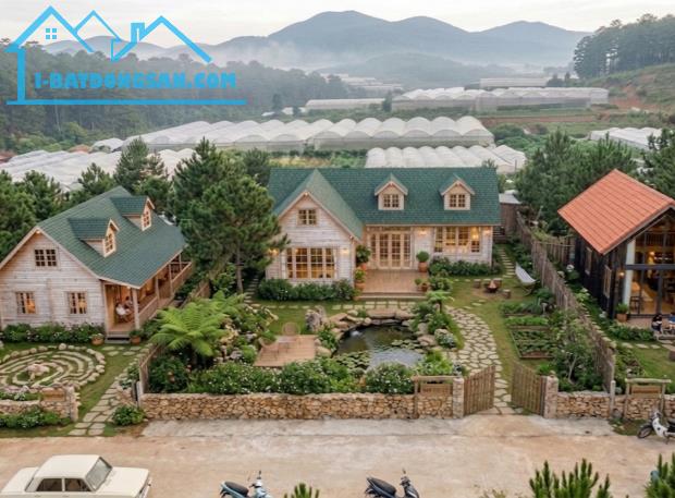Đất thổ cư view đẹp tại D'ran - đô thị vệ tinh Đông Nam Đà Lạt
