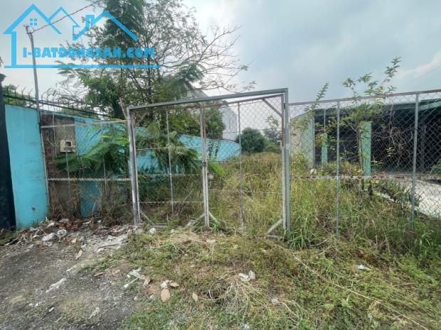BÁN LÔ ĐẤT MẶT TIỀN 592M2- GIÁ 9 TỶ 500-Đ,THANH NIÊN-TÂN THỚI NHÌ - HÓC MÔN