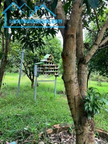 Giá 16,5 tỷ TL. Bán 5646m mặt tiền đường Long Chiến, Bình Lợi, Vĩnh Cữu. Sổ thổ cư.