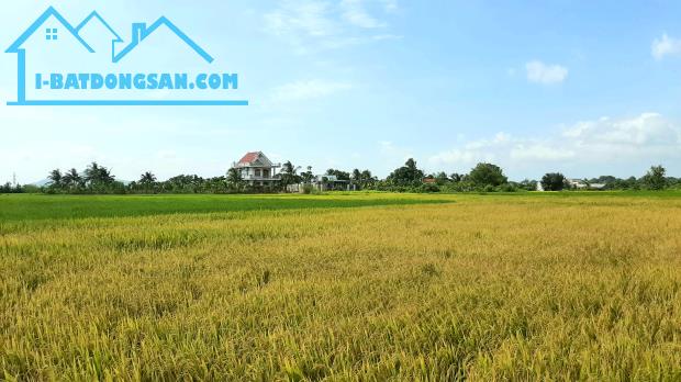 Block 3 lô mặt tiền đường nhựa liên xã Hàm Thuận view thoáng kinh doanh cafe