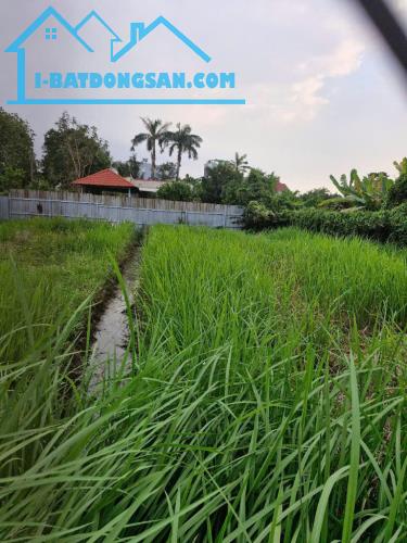 Bán ĐẤT nền thổ cư 240m2 tại P.An Phú Đông Q12, đường xe hơi chạy