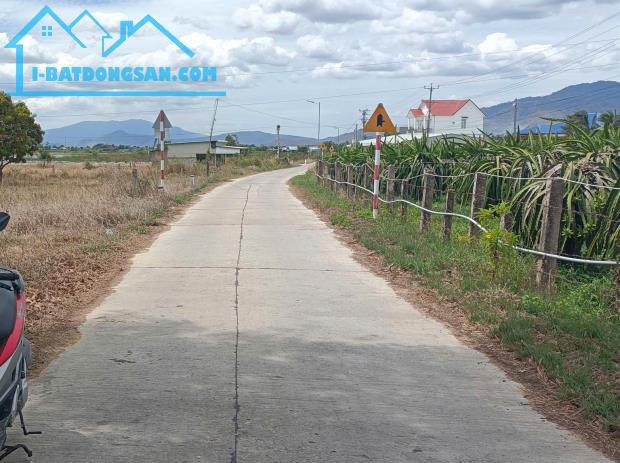 Đất Sào gần Bên QL1A-Hàm Minh-Hàm Thuận Nam-DT 19.200m2( 4 Thửa LK)