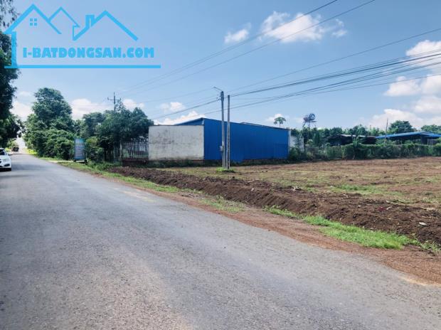 CẦN SANG LẠI 3600M2 ĐẤT TPHCM (SHR) DÂN CƯ SAN SÁT GẦN CHỢ TRUNG TÂM GIÁ 1 TỶ 250 TRIỆU