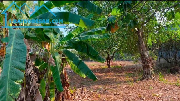 Nhà Xưởng Lớn Tân Bình Vĩnh Cửu , Có đất sân vườn . Ngang 35m
