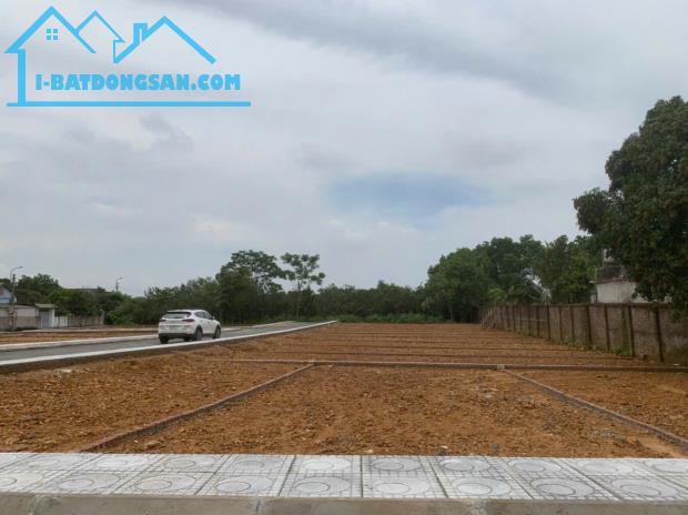 CHÍNH CHỦ BÁN LÔ ĐẤT TẠI CỔ ĐÔNG SƠN TÂY HÀ NỘI