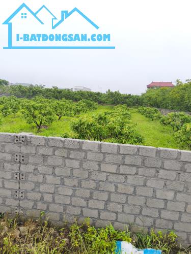 BÁN ĐẤT RỘNG 2.800m HỒNG GIANG PHƯỜNG CHŨ TỈNH BẮC NINH,NHỈNH 2 TỶ 0982188151.