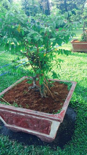 💢 Bán Đất Mật Tiền Đường Lại Hùng Cường ( Vĩnh Lộc B ) 3585m2 chỉ 57 Tỷ.