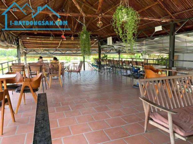 chủ kẹt tiền giảm 1tỷ bán nhanh quán cafe ngay đường tỉnh lộ 9 đức hoà kinh doanh ngay