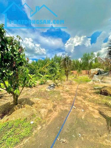 Cần bán khu vườn nghĩ dưỡng 💵💵 giá: 3.TỶ.2 DT: 1.127m2 (hơn 1.Xào) sổ hồng
