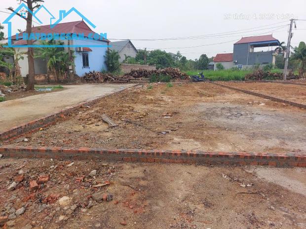Chủ nhờ bán đất 115m2, mt7m, lô góc 3.2 tỷ, Thanh Trí, Sóc Sơn. Ô tô