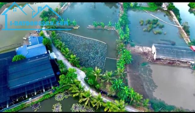 Bán lô đất 15.000 M Thuận Thiên Kiến Thụy Hải Phòng