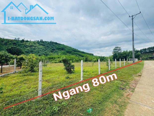Bán đất Khánh Đông full thổ cư mặt tiền đường liên thôn bên hông chợ đi vào