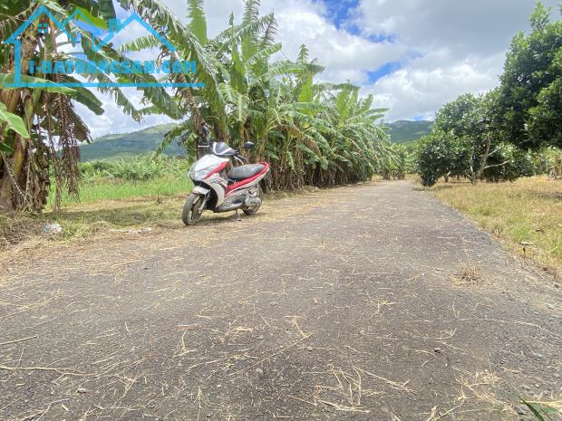 👉Đường nhựa tận nơi. Bán đất đường Đinh Công Tráng, Lộc Châu, phường 3 Bảo Lộc.