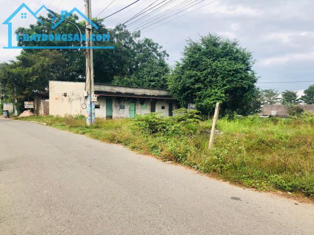 CẦN SANG LẠI MÃNH VƯỜN (2.540M2) ĐẤT THỔ CƯ SHR NGAY CHỢ DÂN CƯ HIỆN HỮU GIÁ 590 TRIỆU