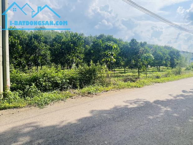 CẦN SANG LẠI VƯỜN MÍT 20X53=1060M2 THỔ CƯ SHR MT ĐƯỜNG NHỰA SÁT CHỢ DÂN ĐÔNG GIÁ 750 TR