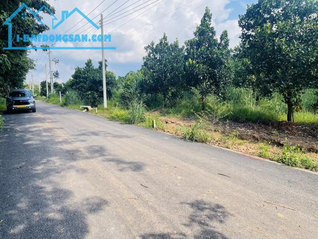 BÁN VƯỜN MÍT ĐANG CHO TRÁI DT 20X53=1060M2 THỔ CƯ SHR MT NHỰA LỚN SÁT CHỢ GIÁ 750 TRIỆU