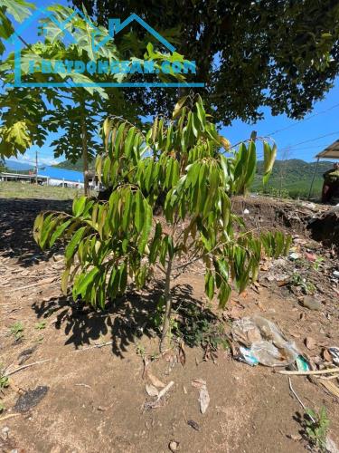 Bán đất Khánh Đông giáp suối Khao có thổ cư điện nước đầy đủ phù hợp làm nhà vườn