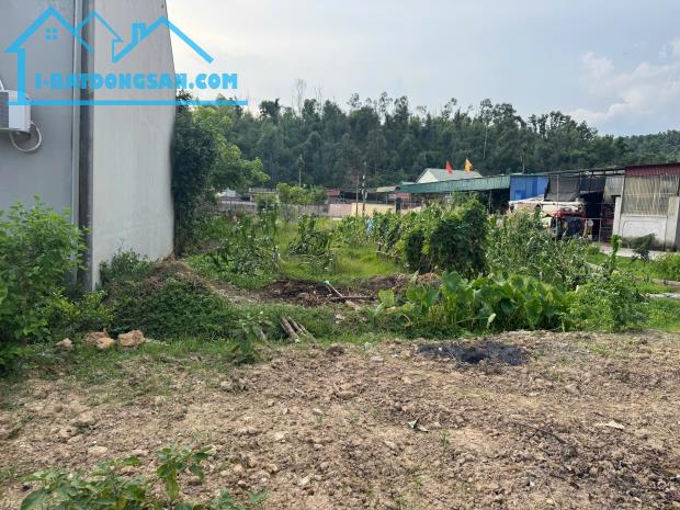 Đất Hiệp Hòa-Kinh Môn (P.Nhị Chiểu) Gần 200mv Mặt tiền Hơn 8m,Đường 2 ôtô, 2 Mặt đường.Ib