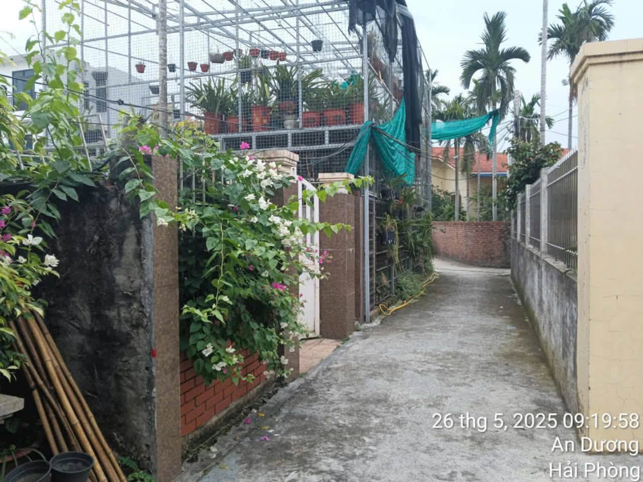 Đào Yêu