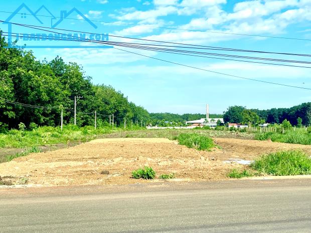 ĐỊNH CƯ SANG ÚC CẦN SANG LẠI 1329M2 ĐẤT SHR LIỀN KỀ CHỢ, ỦY BAN, TRƯỜNG HỌC GIÁ 650 TRIỆU