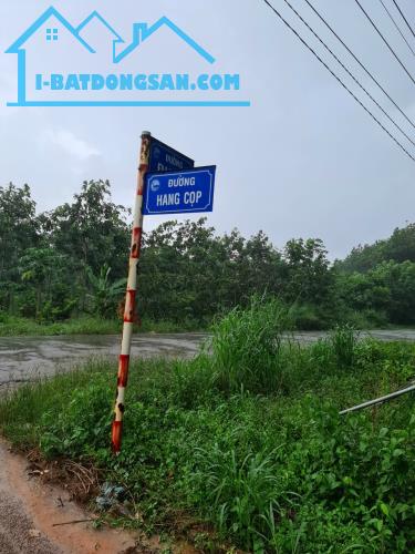 đất nền hoàng anh minh tuấn , đỗ xuân hợp, quận 9 cần bán gấp