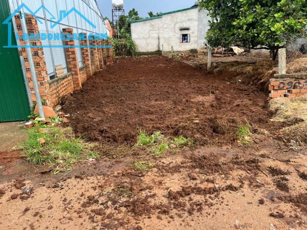 📣Bán #Đất 5x25m hẻm TỐ HỮU gần Ngã 3 duy hoà, Buôn Ma Thuột chỉ #535 triệu 🚗Đường nhưa ô