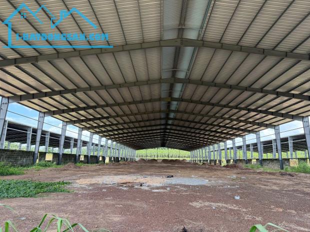 Bán kho, nhà xưởng tại DH507, An Thái, Phú Giáo, 65 tỷ,TDT:31.000m2,nhà xưởng: 15.000m2,SK