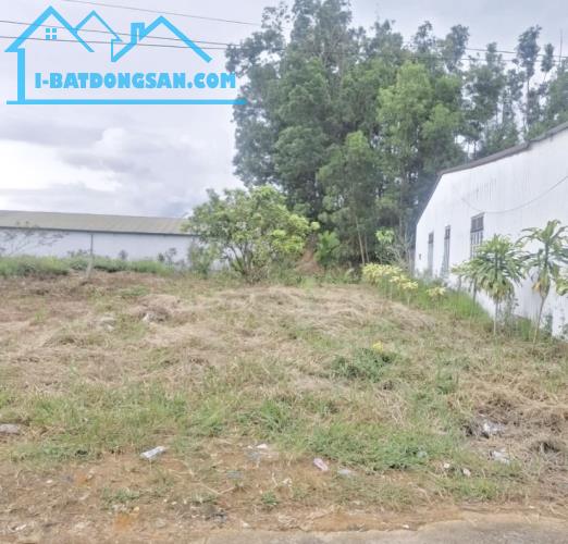 🆘🆘Hạ giá bán nhanh! Bán đất đường Ngô Tất Tố, Lộc Châu, phường 3 Bảo Lộc