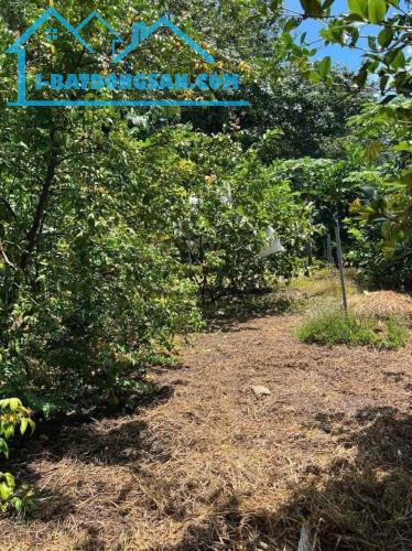 CẦN BÁN ĐẤT VƯỜN ĐẸP GIÁ TỐT P. Tân Triều. 1848m2. Chỉ 4Tỷ 200tr
