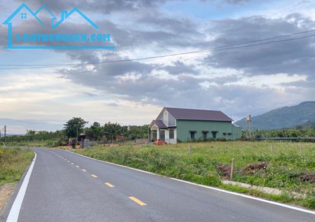 GIÁ TỐT👉Bán đất mặt tiền Đinh Công Tráng, Lộc Châu phường 3 Bảo Lộc