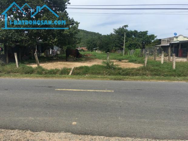 Ngộp quá bán nhanh-Đất xã Hàm Thuận Bắc(Thuận Hoà)-Lâm Đồng-DT 7 sào