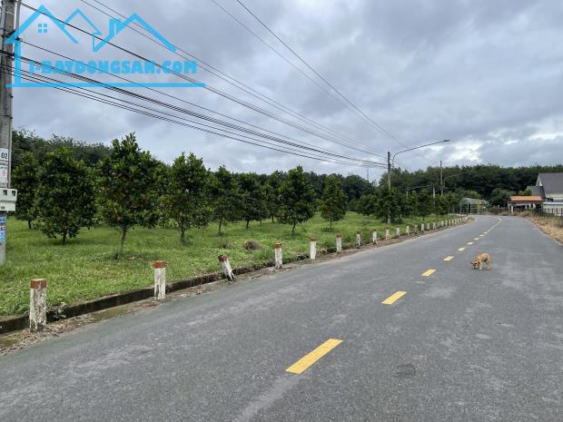 NGỘP TIỀN NGÂN HÀNG SANG LỖ (2462M2) ĐẤT SHR CÓ SẴN VƯỜN MÍT DÂN CƯ HIỆN HỮU GIÁ 360 TRIỆU