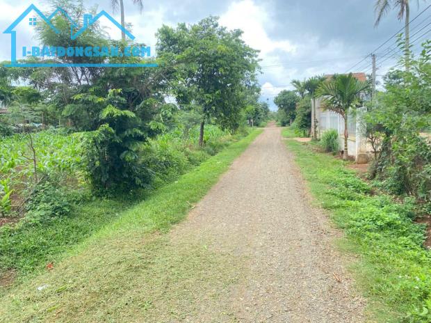 BÁN ĐẤT - NGAY CÂY XĂNG HỮU LỢI VĨNH THẠNH + TL849 - ĐƯỜNG XE HƠI - 1000m2 - GIÁ TỐT