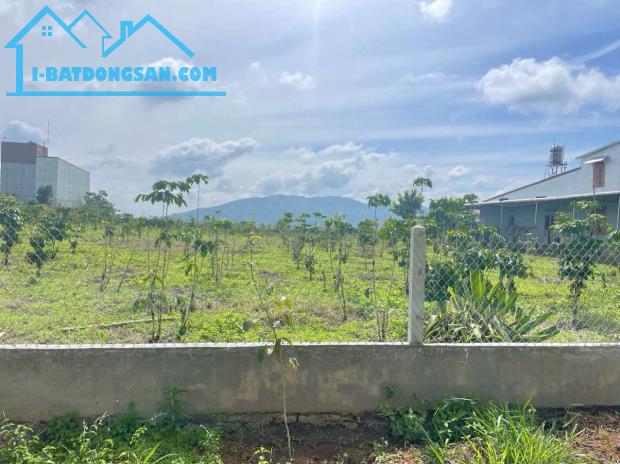 Bán đất mặt tiền Lê Thị Riêng, Lộc Châu phường 3 Bảo Lộc. ✅✅NGANG KHỦNG 45m