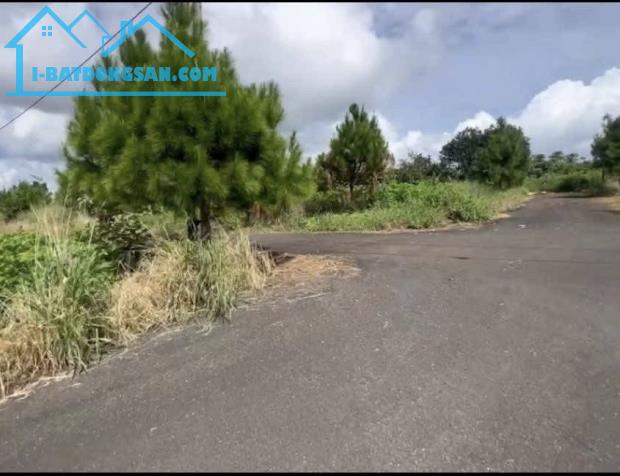NGỘP ĐẤT 3 MẶT TIỀN❌Bán đất đường Lý Thái Tổ, Dambri phường 2 Bảo Lộc