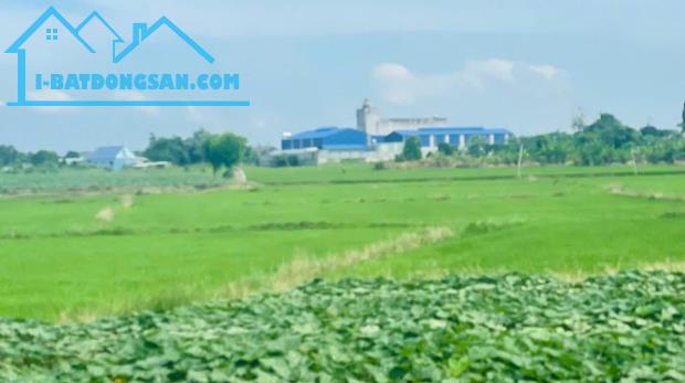 ĐẤT SIÊU NGỘP CẦN BÁN GẤP 132M2 CHỈ VỚI 900TR NGAY XÃ ĐẤT ĐỎ TPHCM .