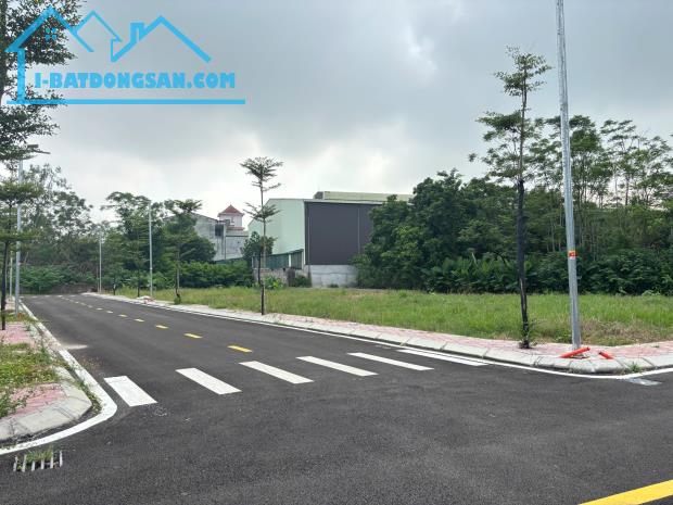 Đất Phú Cát 100m², full thổ cư, đường 8m, cách trục 446 chỉ 50m