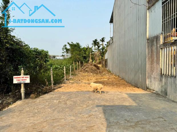 ‼️‼️Bán đất Mặt Tiền Xóm 10 Ngọc Anh - Phú Thượng - TP Huế